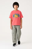 Boys' New York Tiger Graphic Boxy Fit Tee