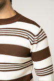 The Classic Earth Tone Stripe Sweater