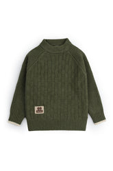 Olive Textured Block Sweater