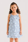 Girls Fancy Net Frock