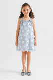 Girls Fancy Net Frock