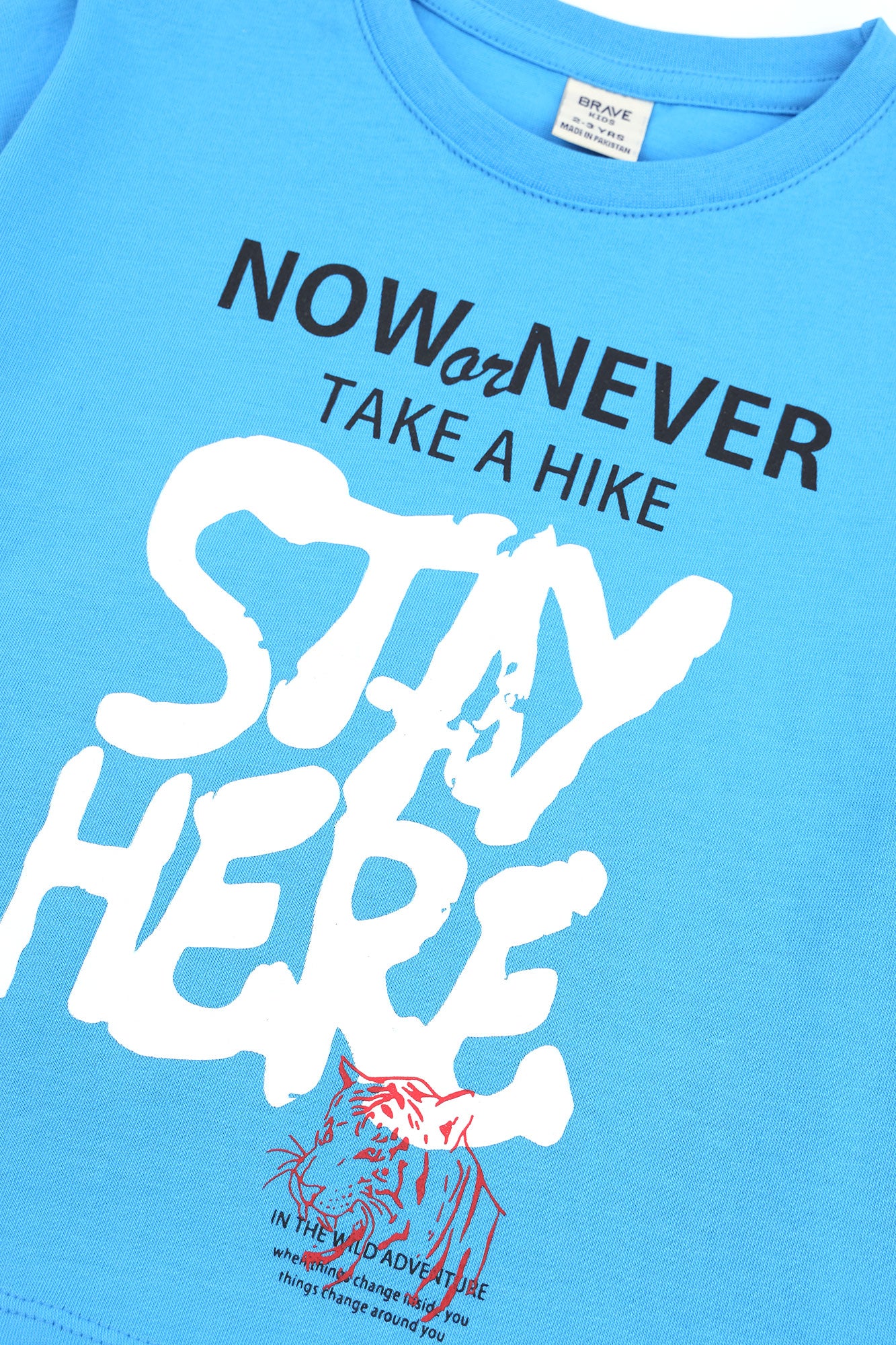 Boys' Stay Here Slogan Boxy Tee