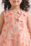 Girls Fancy Net Frock