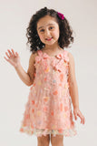 Girls Fancy Net Frock
