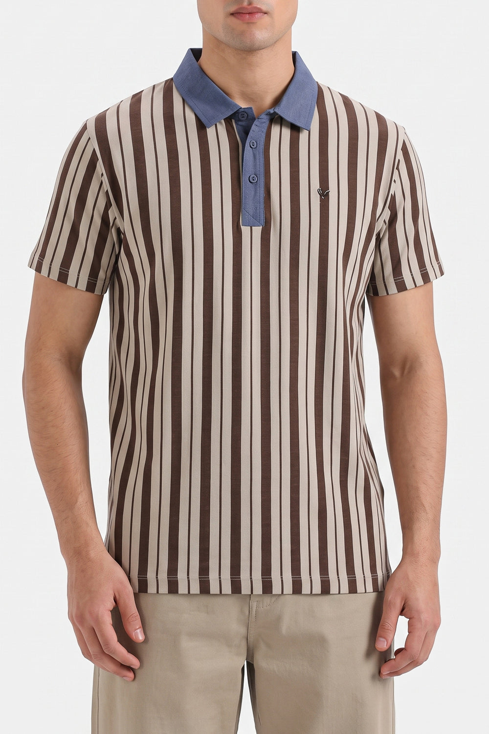 Men's Vertical Stripe Polo