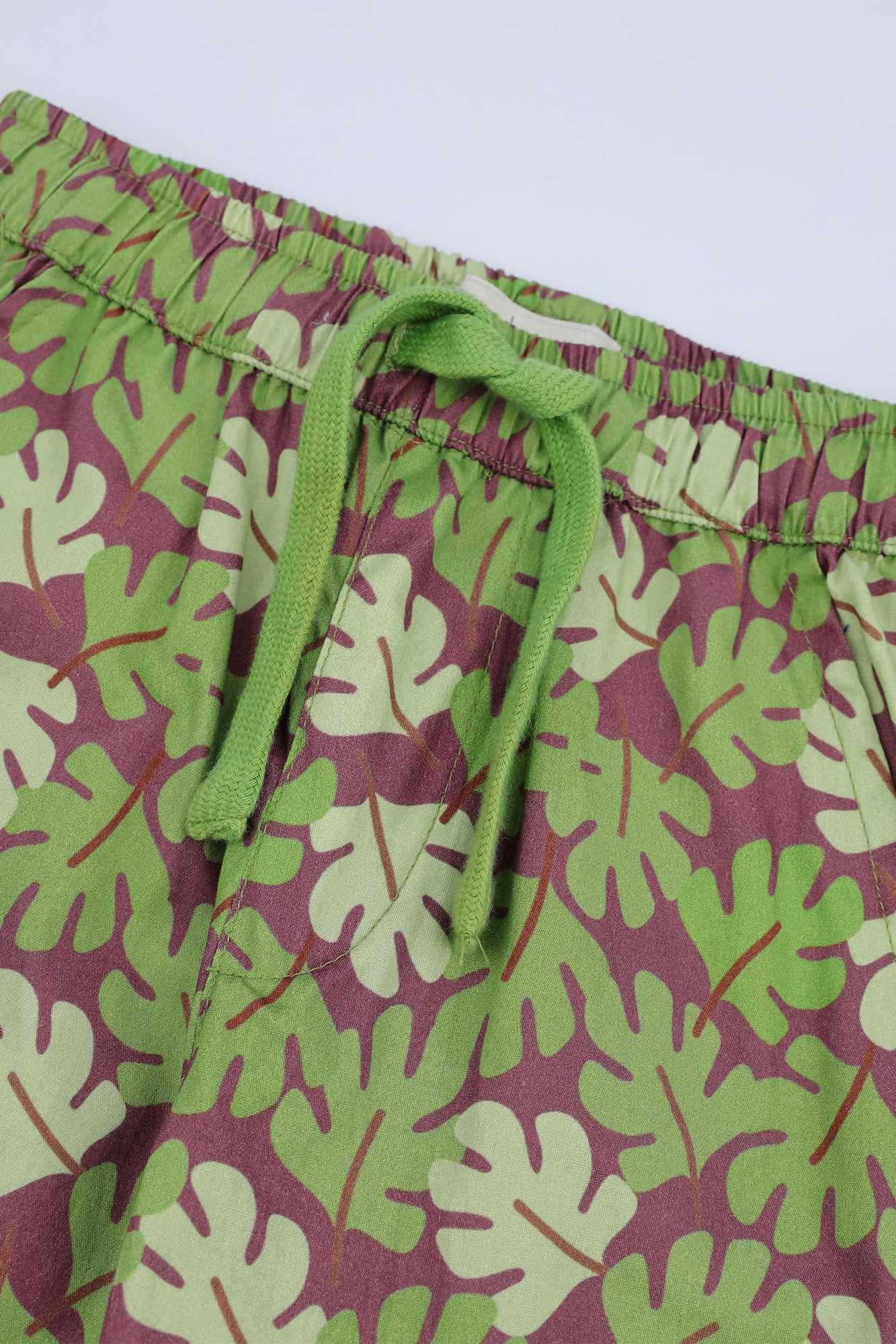 Boys’ Tropical Monstera Leaf Printed Shorts