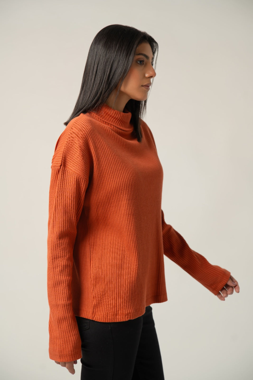 The Ribbed Terracotta Mock Neck