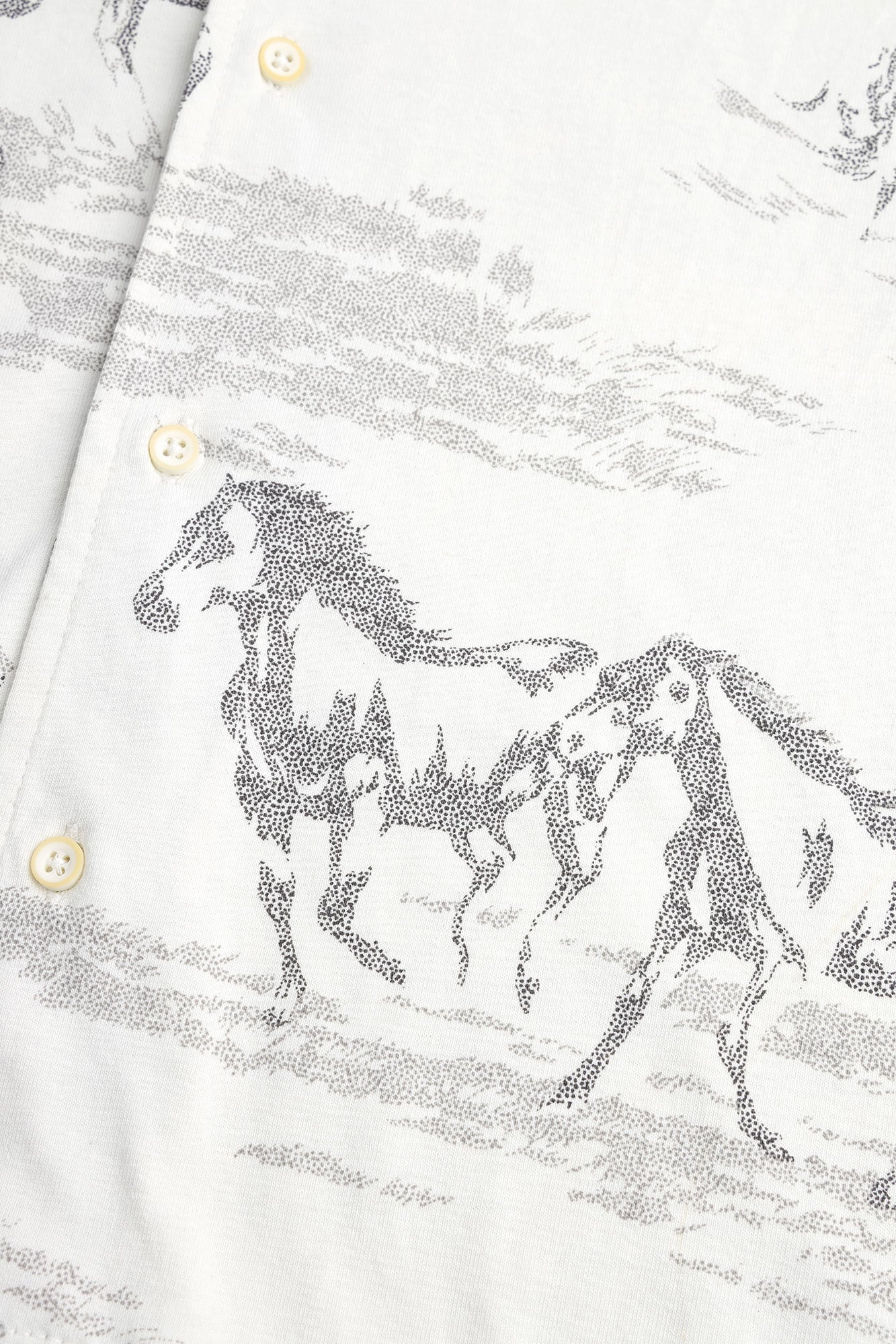 Men's Wild Equine Graphic Shirt